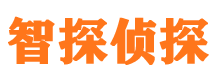 浙江市私家侦探